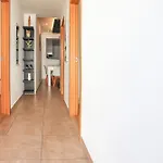 Mongos - By Bedzy Alvor