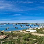 Mongos - By Bedzy * Alvor