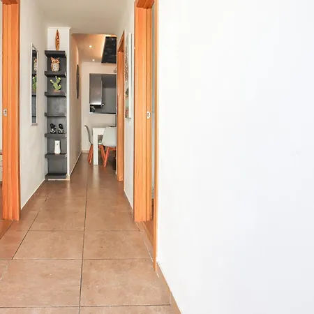 Mongos - By Bedzy Alvor