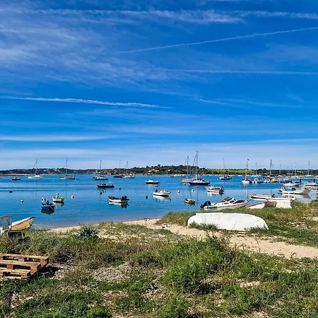 Mongos - By Bedzy * Alvor